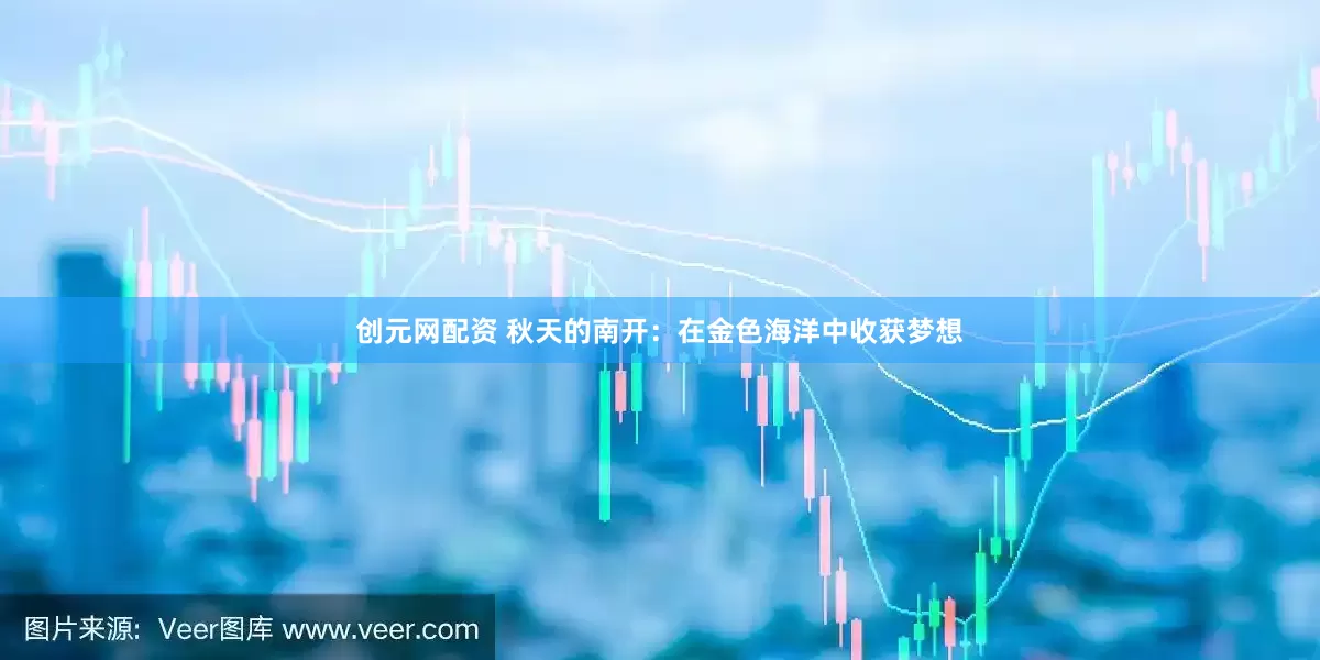 创元网配资 秋天的南开：在金色海洋中收获梦想